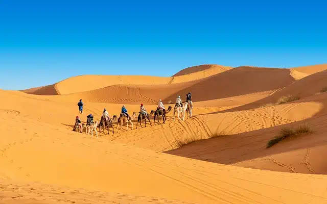 Marrakech Desert Tours desert 4948425 640